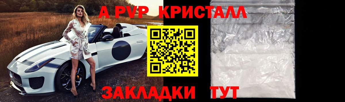 Альфа ПВП СК КРИС Ачхой-Мартан