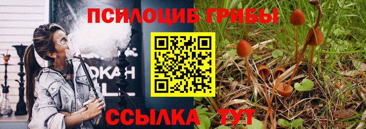 Псилоцибиновые грибы мицелий  Галлюциногенные грибы ЛСД  Вход с VPN  Ачхой-Мартан 