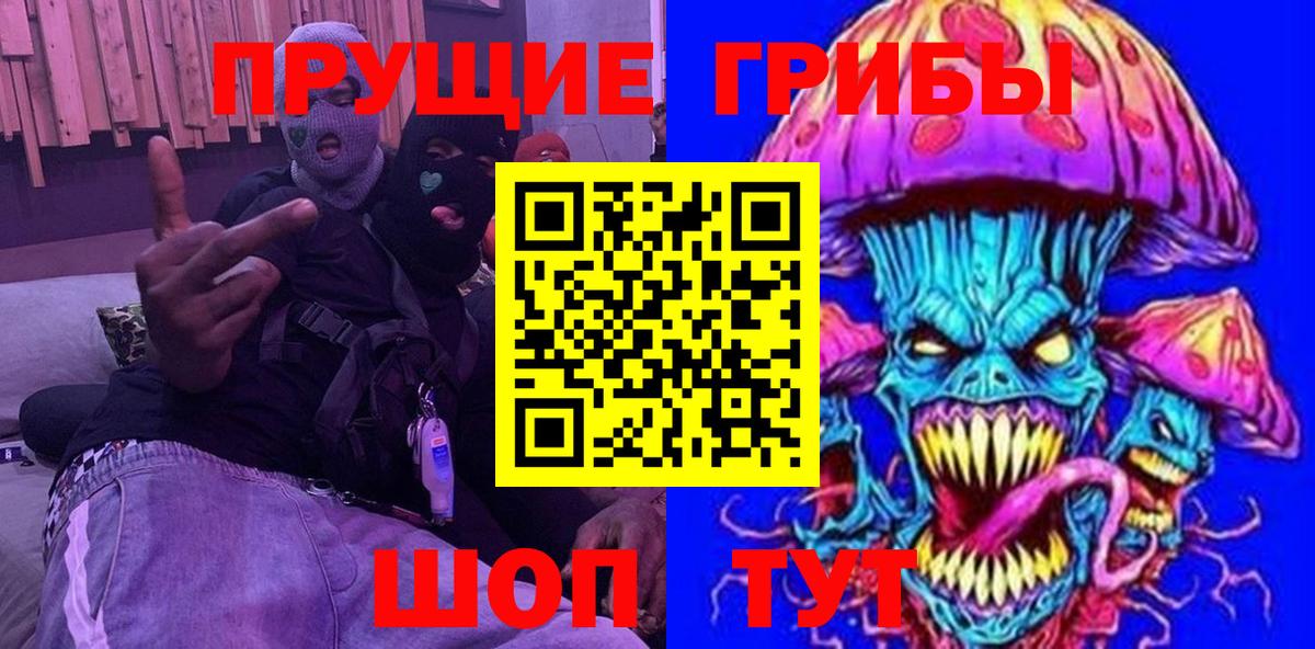 Галлюциногенные грибы Psilocybine cubensis  Ачхой-Мартан  Псилоцибиновые грибы MAGIC MUSHROOMS 