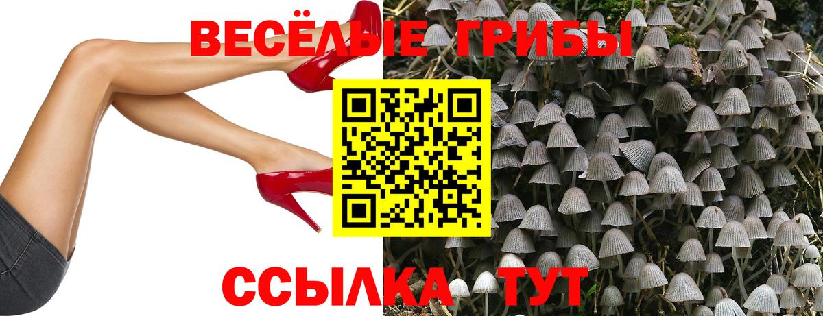 Псилоцибиновые грибы ЛСД Ачхой-Мартан