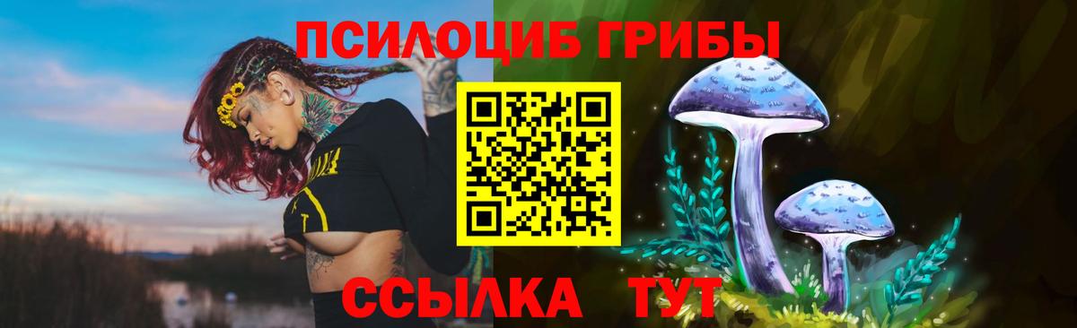 Псилоцибиновые грибы Cubensis Ачхой-Мартан